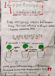 Grafika do wydarzenia: Uwaga PETY!! - zdjęcie 3