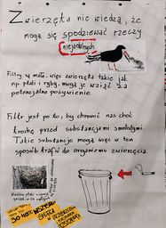 Grafika do wydarzenia: Uwaga PETY!! - zdjęcie 4