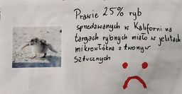 Grafika do wydarzenia: Uwaga PETY!! - zdjęcie 6