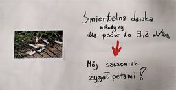 Grafika do wydarzenia: Uwaga PETY!! - zdjęcie 8